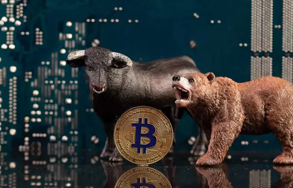 Black bull and brown bear with golden Bitcoin coin and computer parts in the background