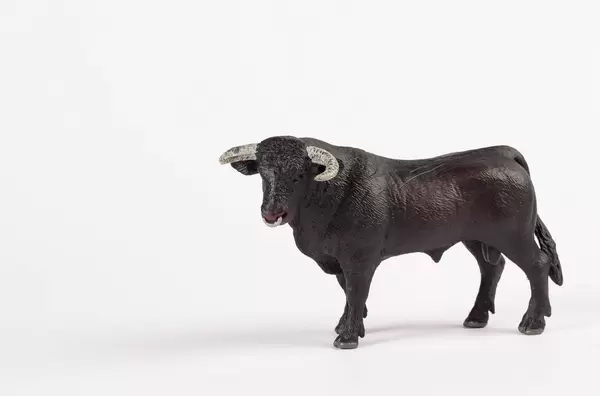 Black bull on white background