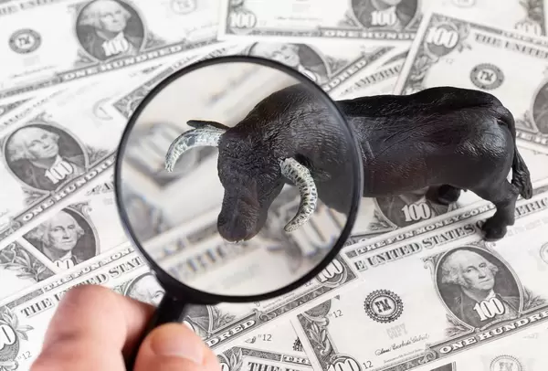Black bull under magnifying glass