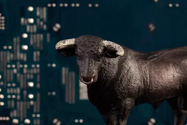 Black bull with computer chips in the background