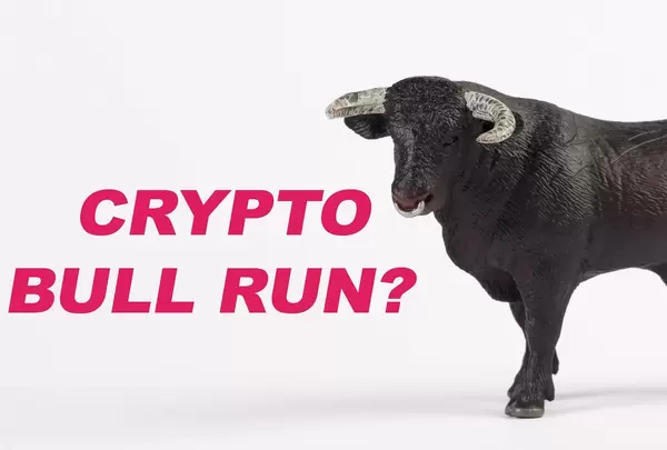 Black bull with Crypto bull run text