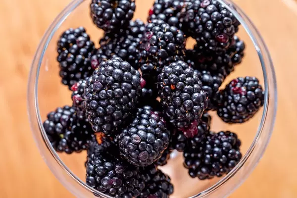 Black ripe mulberry. Top view (Flip 2019)