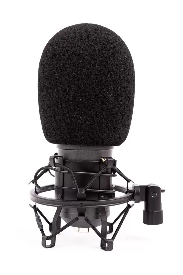 Black Studio condenser Microphone with sponge wind shield