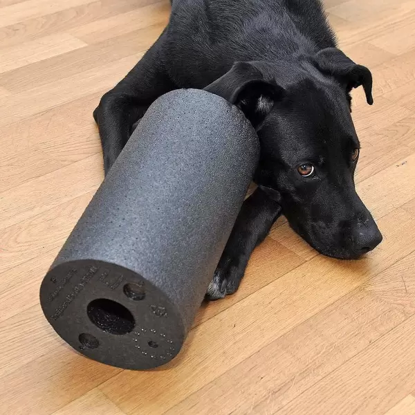 Blackroll Friday ? #blackfriday #blackroll #labrador #lab #laboftheday #labsofinstagram #sports #fitness #training