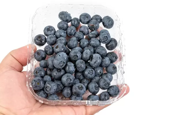 Blaubeeren in einer Plastikverpackung aus dem Supermarkt