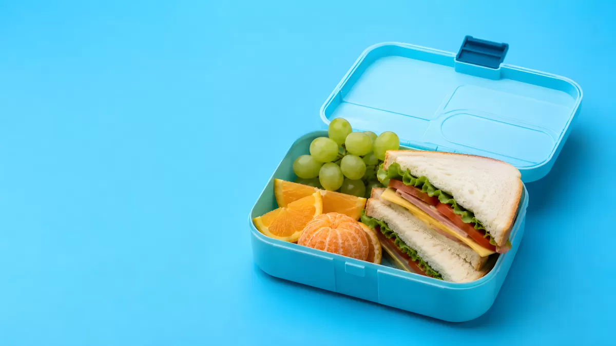 Blaue Lunchbox mit Sandwich, Trauben und Orangen