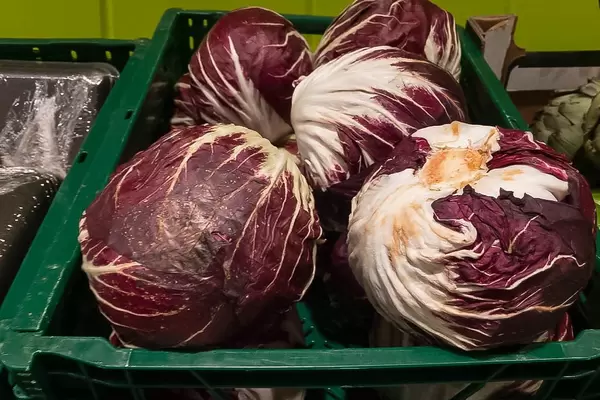 Blaukraut / Rotkraut