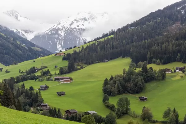 Blick auf das Alpbachtal in Tirol mit schneebedeckten Berggipfeln im Hintergrund