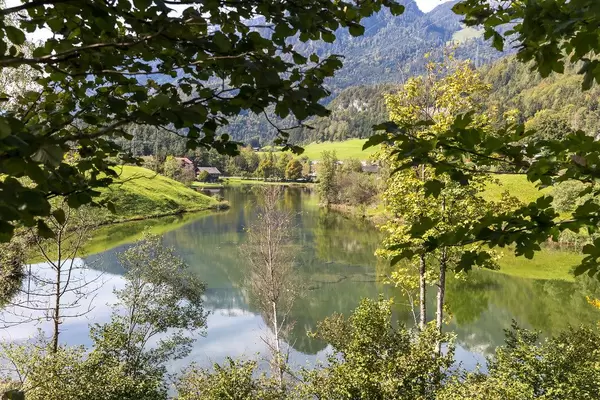 Blick ins Grüne - der Krummsee: ein beliebter Badesee in Tirol (Österreich)