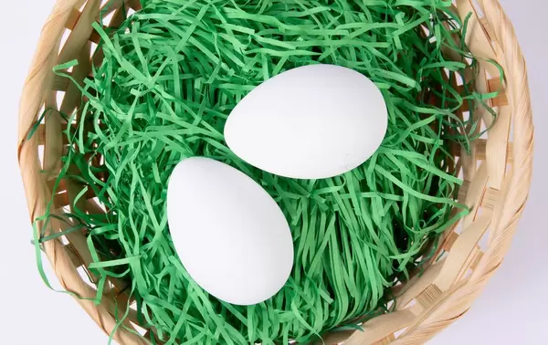 Blick von oben auf zwei unbemalte Hühnereier auf Ostergras vor weißem Hintergrund