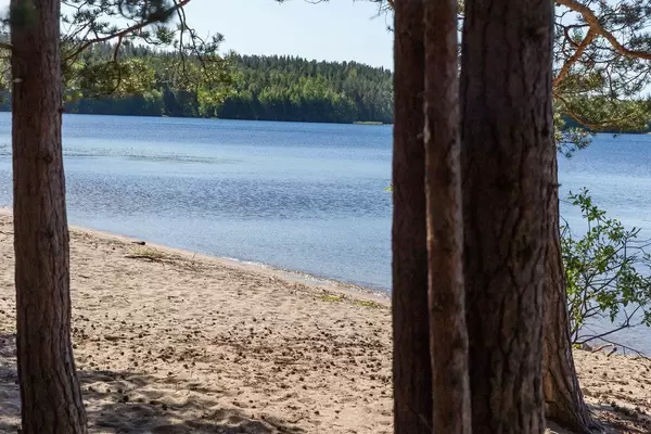 Blick zwischen Bäume hindurch auf den Sandstrand einer Insel im finnischen Nationalpark, mit blauem Wasser des Päijänne-See im Hintergrund