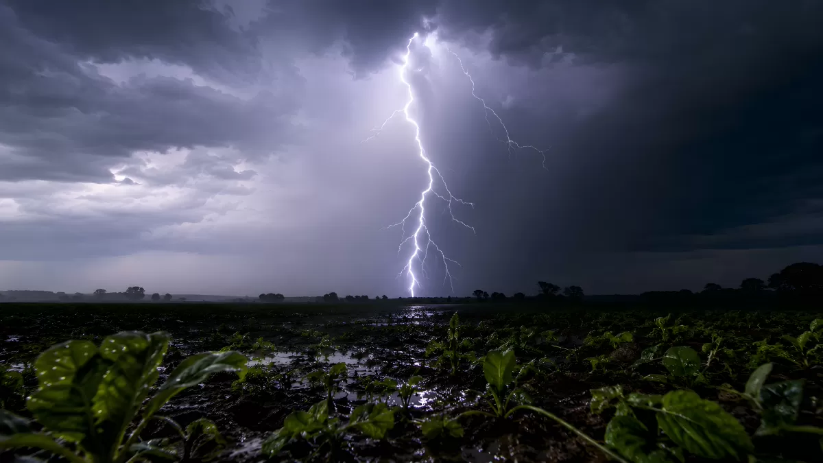 Blitzeinschlag über einem Feld bei Gewitter
