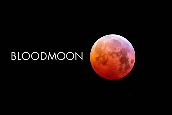 Blood Moon: Close-up of the red moon in the black sky