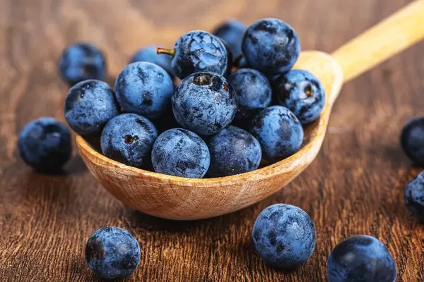 Blue blackthorn berries in a wooden spoon