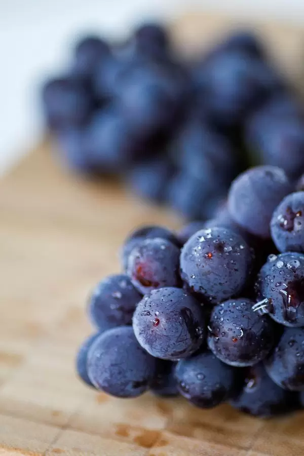 blue grapes close-up