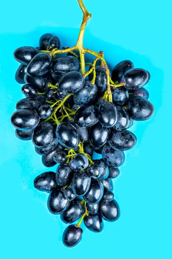 Blue grapes on a blue background
