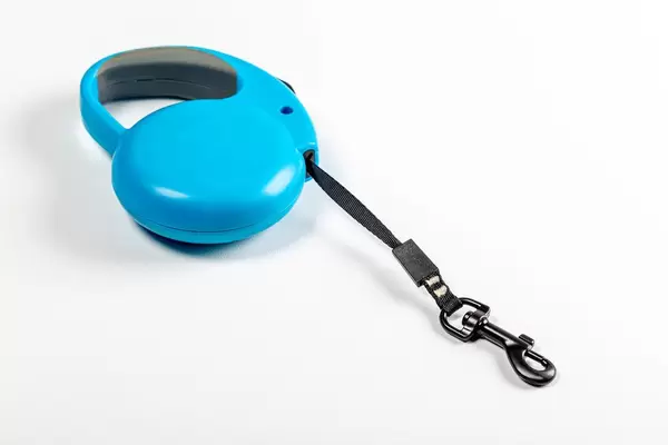 Blue leash for dog on white background