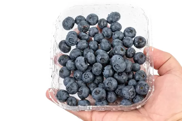Blueberries in the plastic market box (Flip 2019)