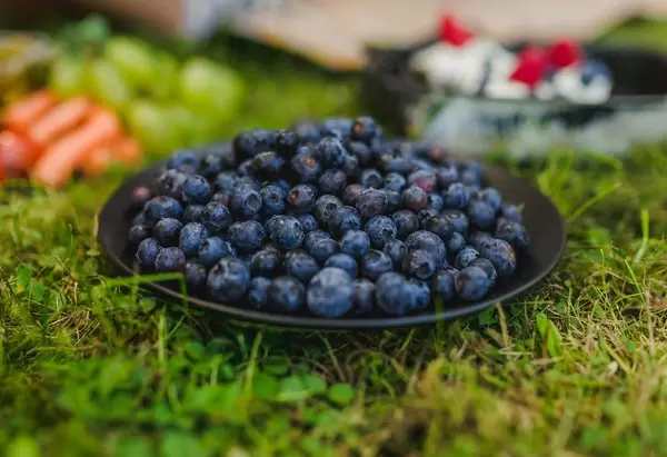 Blueberries On Black Dish Outdoors