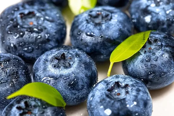 Blueberry berries with water drops, fruit background (Flip 2019)
