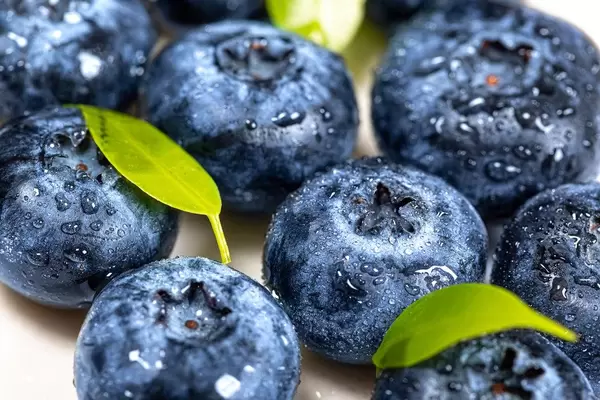 Blueberry berries with water drops, fruit background