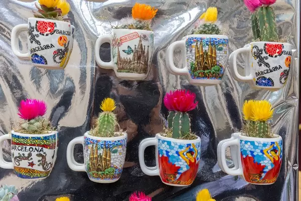 Blühende Kakteen in Souvenir-Tassen mit Abbildungen von Sehenswürdigkeiten aus Barcelona in der La Boqueria in Spanien