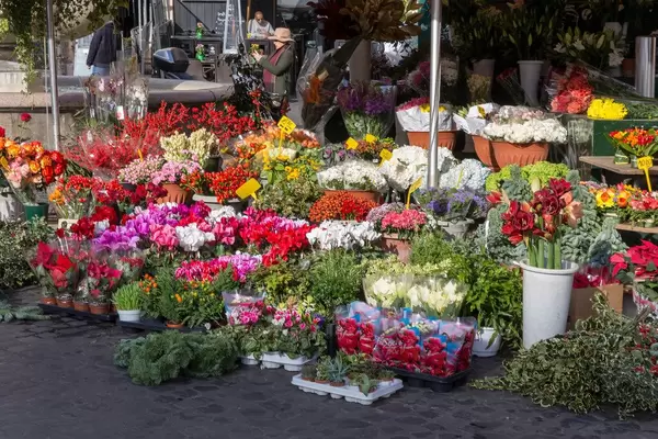 Blumen an einem Stand auf dem Markt in Rom