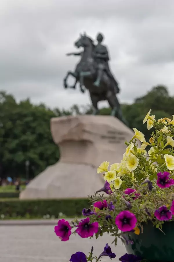 Blumen auf dem Senatsplatz mit der Reiterstatue Der eherne Reiter im Hintergrund