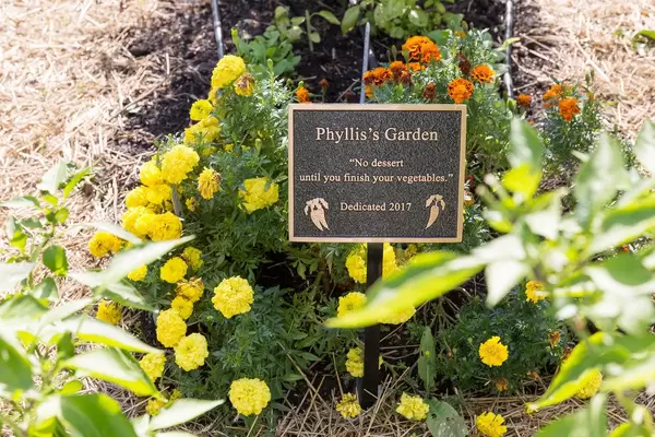 Blumen im Phyllis's Garden im Old Town Triangle