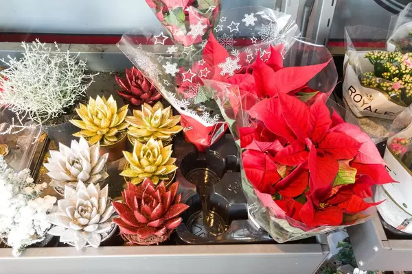 Blumen und Deko im Supermarkt