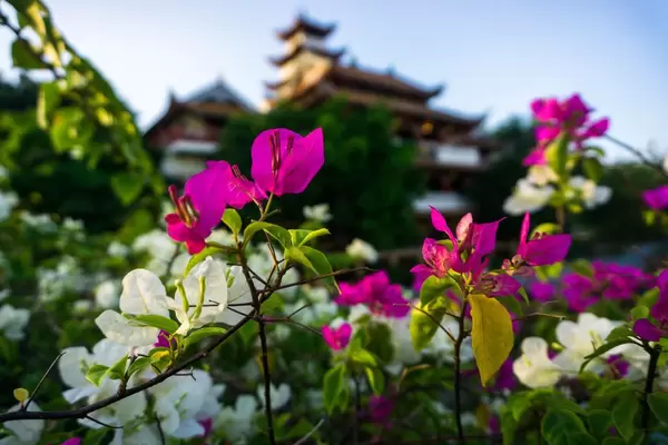 Blumen vor dem Chua Phap Hoa Pagoda Tempel in Saigon