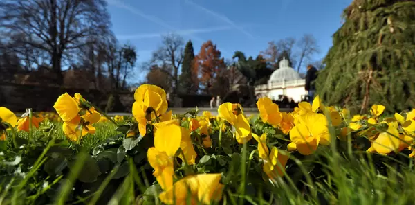 Blumenbeet im Mirabellgarten, Salzburg
