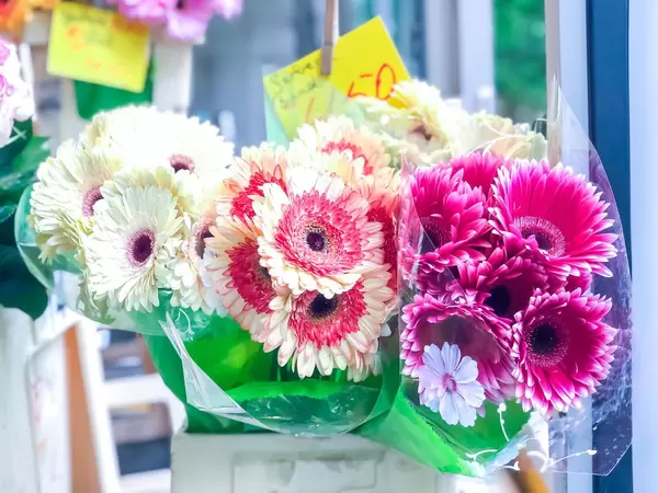 Blumensträuße in einem Blumenladen in Köln