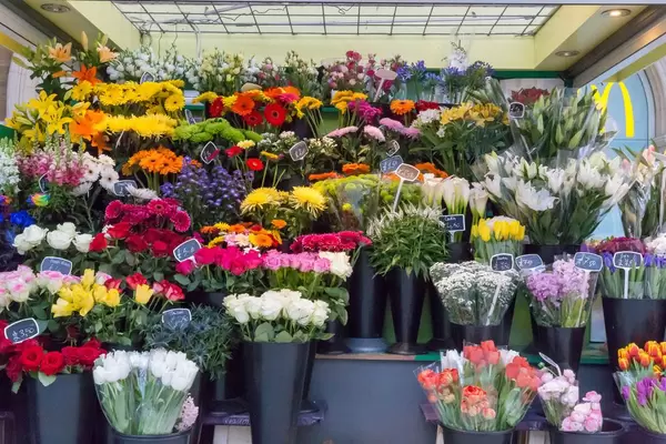 Blumensträuße und Blumen in einem Blumengeschäft in London
