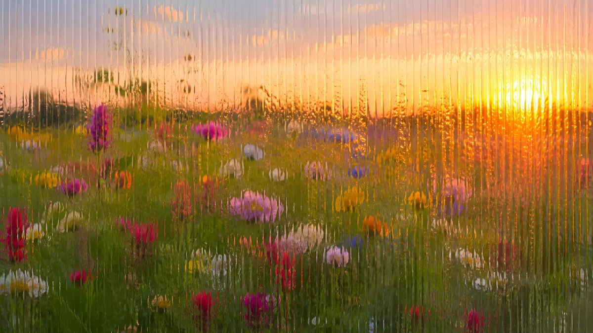 Blumenwiese im Sonnenuntergang durch Regenglas