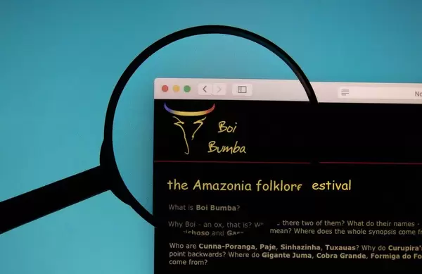 Boi Bumba festival logo on a computer screen with a magnifying glass