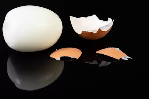 Boiled Egg above black background (Flip 2019)