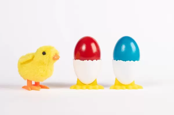 Boiled eggs in holders with little yellow chicken