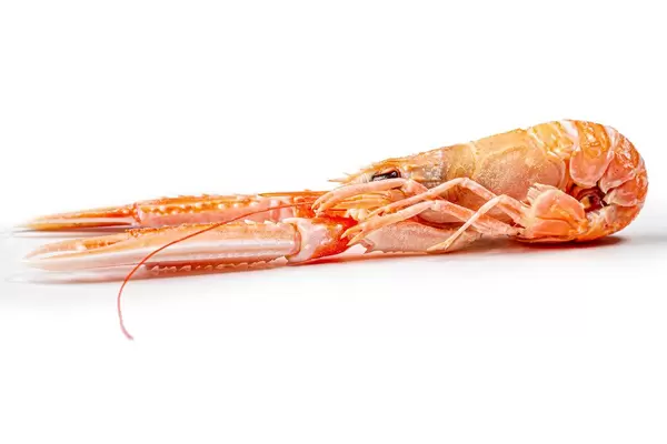 Boiled lobster on white background (Flip 2020)