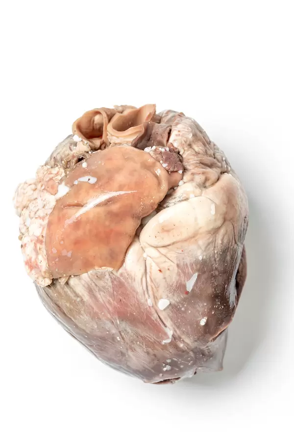 Boiled pork heart on a white background