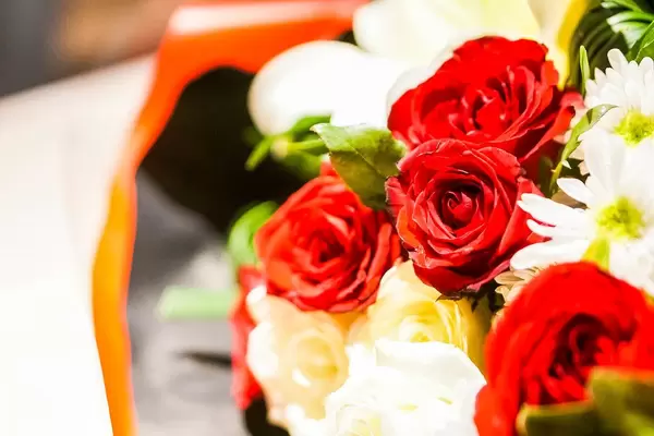 Bokeh Aufnahme einer roten Rose im Strauß (Flip 2019)