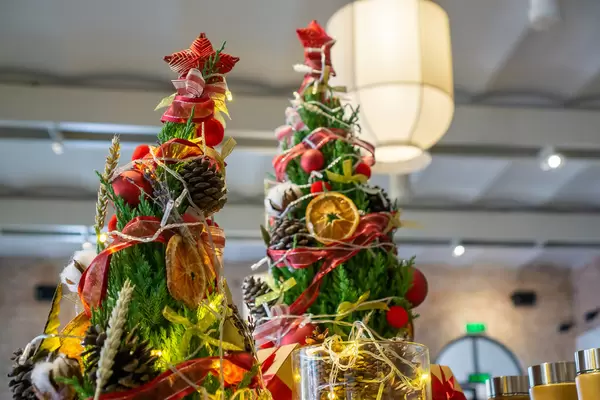 Bokeh Photo of Christmas Trees decorated with Fir Cones, Dried Orange Slices, String Lights, Ornaments and Christmas Star in a Cafe