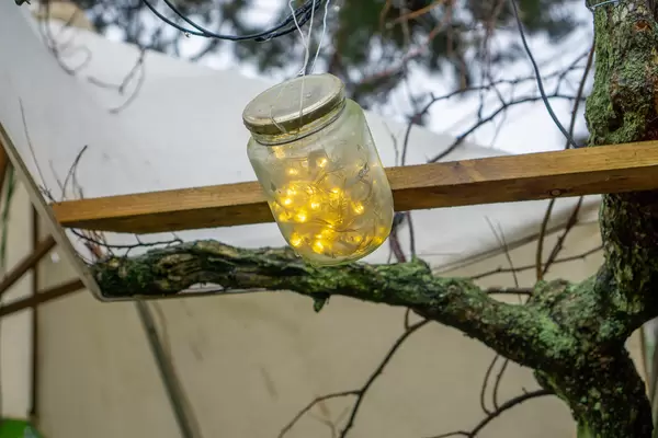 Bokeh Photo of DIY Glow Jar with String Light hanging on a Tree