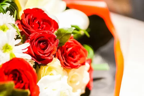 Bokeh shot of a red rose (Flip 2019)