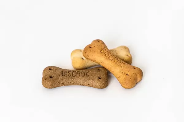 Bone Shape Dog Cookies on the White Background