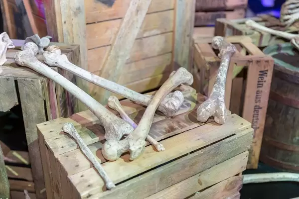 Bones, wooden boxes and wine casks