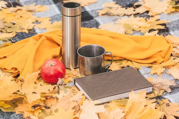 Book, apple, thermos and a mug of tea on a blanket with autumn leaves
