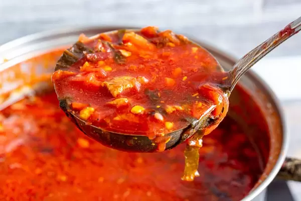 Borsch-a traditional Ukrainian soup of the ladle