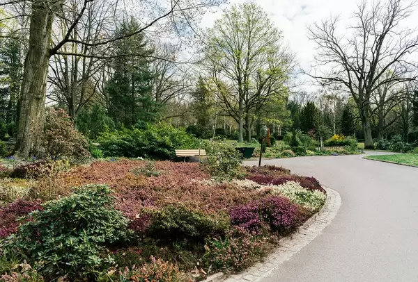 Botanic garden overview (Flip 2019)