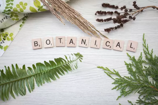 botanical letters with Plants in a background top view